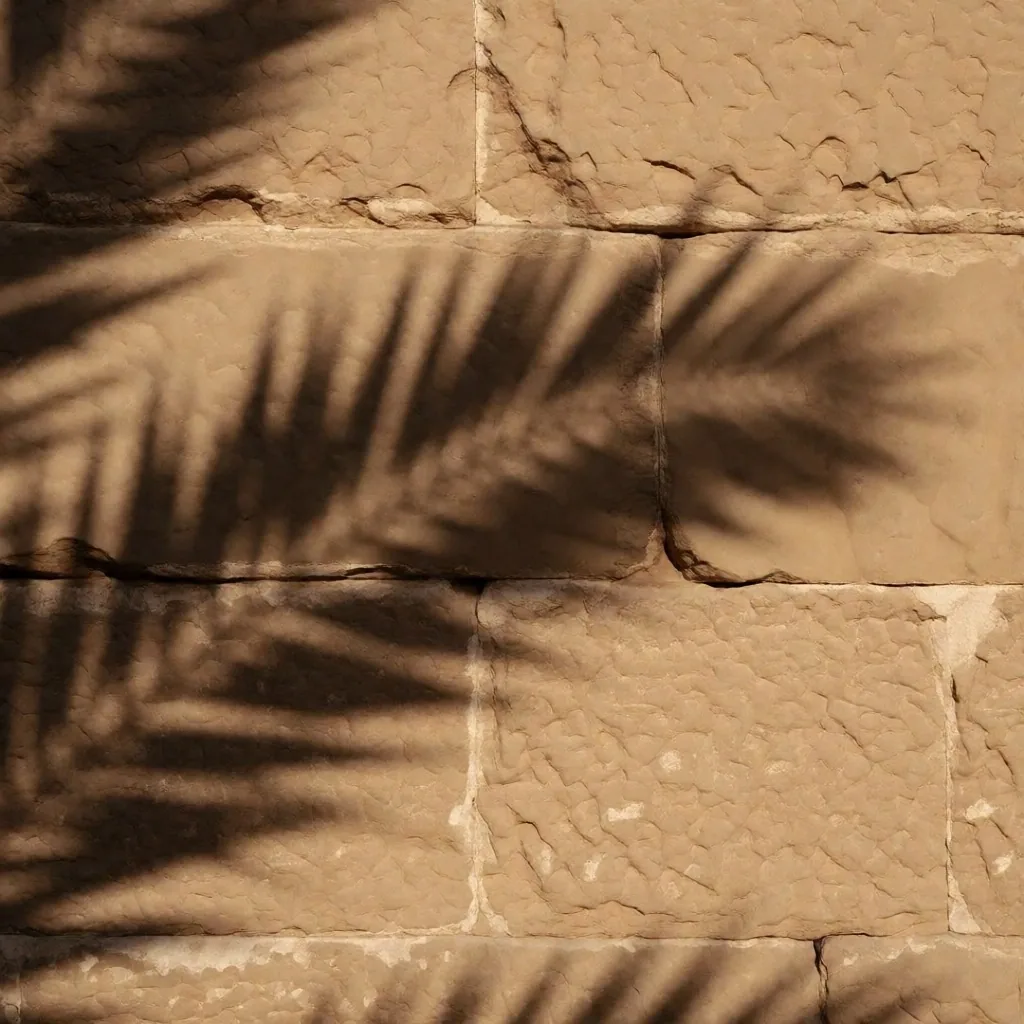 Palm frond shadow on limestone