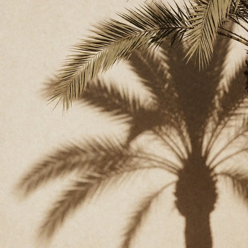 Palm frond shadow on limestone